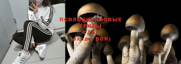 соль ск Зеленокумск