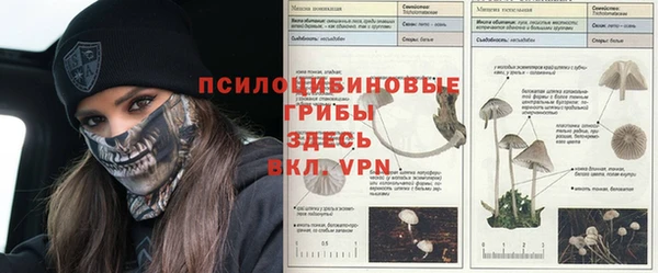прущая мука Зерноград